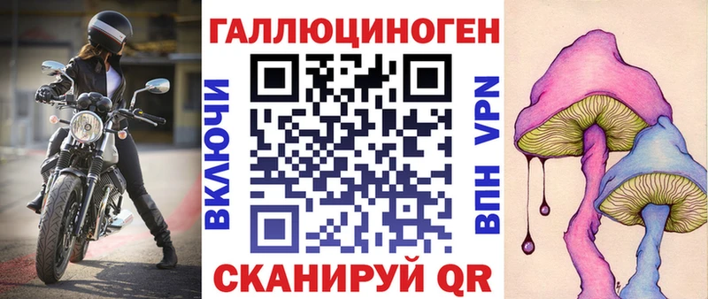 где можно купить   Балаково  Псилоцибиновые грибы GOLDEN TEACHER 