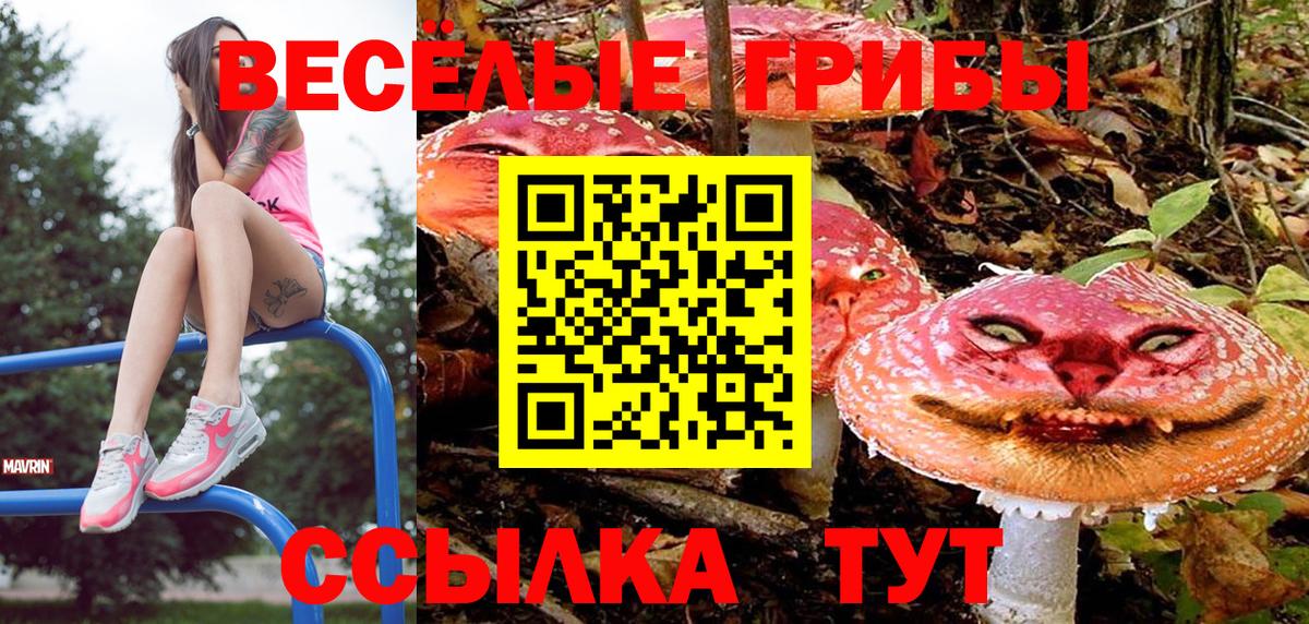 Галлюциногенные грибы мицелий Балаково