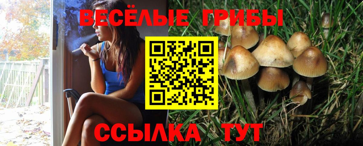 Балаково  Псилоцибиновые грибы мухоморы  Вход с VPN 